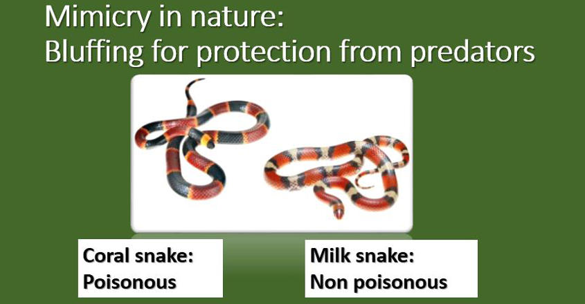 basicskills-8-from-nature-2-c basicskills-8-from-nature-2-c